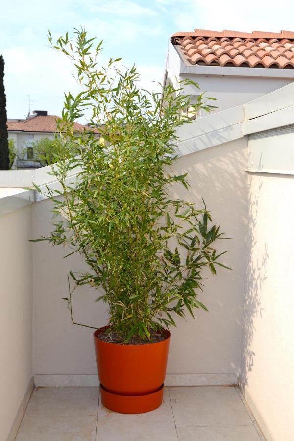Zen Ar Holiday-Home Peschiera del Garda Exterior photo